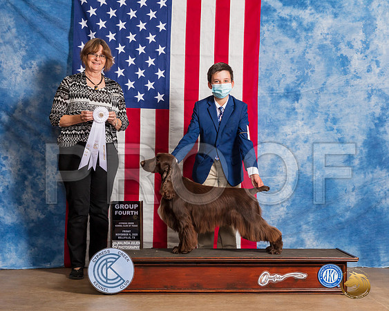 Field Spaniel #5 Fri G4 Judge Danelle Brown__SR_2894_Bellville2020_HR3