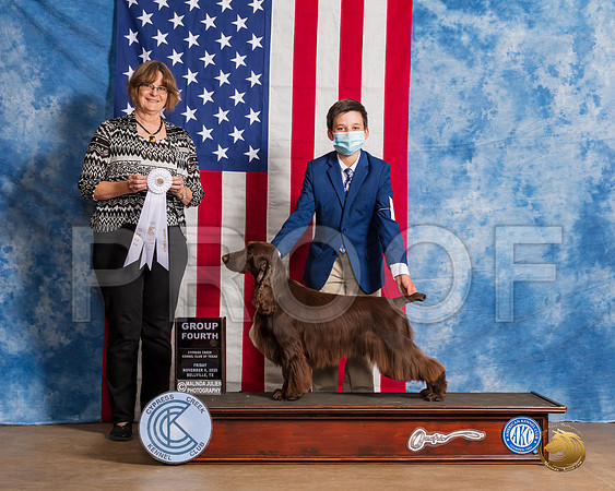 Field Spaniel #5 Fri G4 Judge Danelle Brown__SR_2896_Bellville2020_HR3