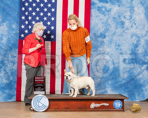 French Bulldog #5 Fri G2 Judge McKennon__SR_3003_Bellville2020_HR3