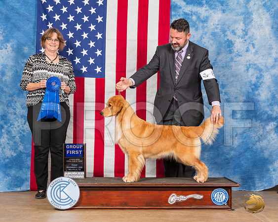Golden Retriever #8 Fri G1 Judge Danell Brown__SR_2884_Bellville2020_HR3