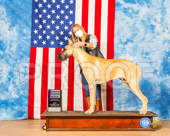 Great Dane #12 Fri RWB Judge Falconer__SR_2785e_Bellville2020_HR3