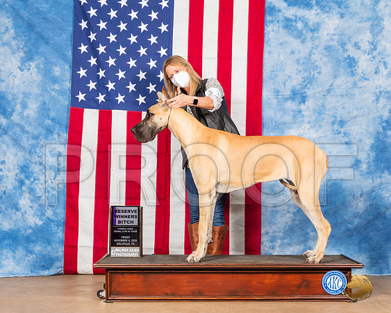 Great Dane #12 Fri RWB Judge Falconer__SR_2786_Bellville2020_HR3