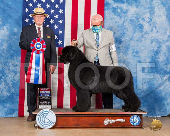 Newfoundland #5 Fri BIS Judge RC Williams__SR_3045_Bellville2020_HR3