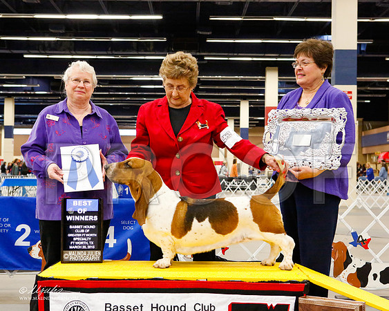 _M3_2093-2-AddisonHuskyMar2015-HR3