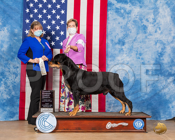 Rottweiler #7 Fri OHG4 Judge Gena Young Box__SR_2962_Bellville2020_HR3