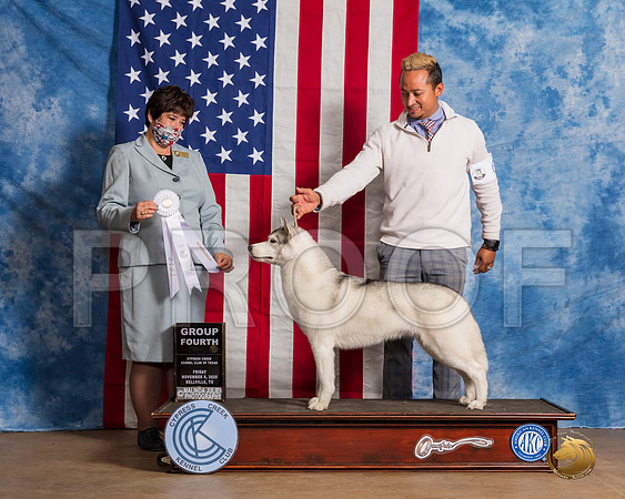 Siberian Husky #6 Fri G4 Judge Falconer__SR_2938_Bellville2020_HR3