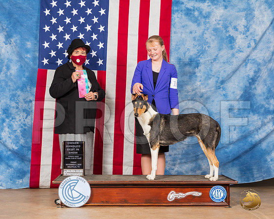 Smooth Collie #10 Fri OHBIS Judge Dr Huber__SR_3058_Bellville2020_HR3