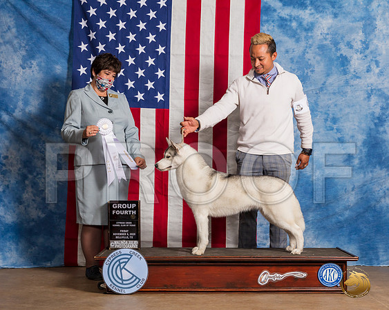 Siberian Husky #6 Fri G4 Judge Falconer__SR_2941_Bellville2020_HR3