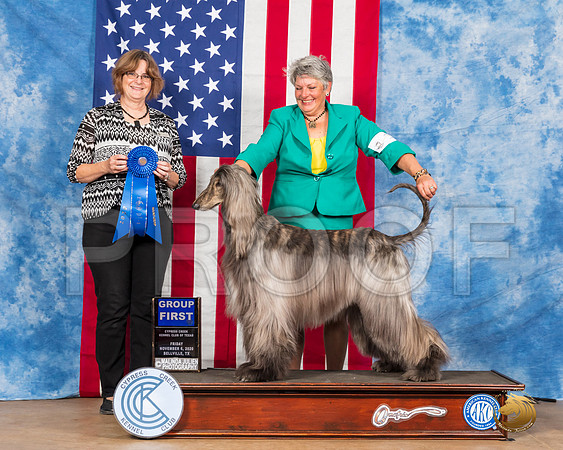 Afghan Hound #14 Fri G1 Judge Danelle Brown__SR_2855_Bellville2020_HR3