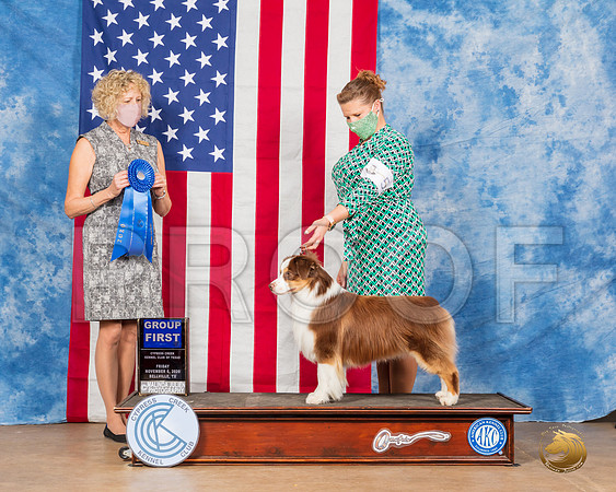 Australian Shepherd #5 Fri G1 Judge Amy Gau__SR_2966_Bellville2020_HR3
