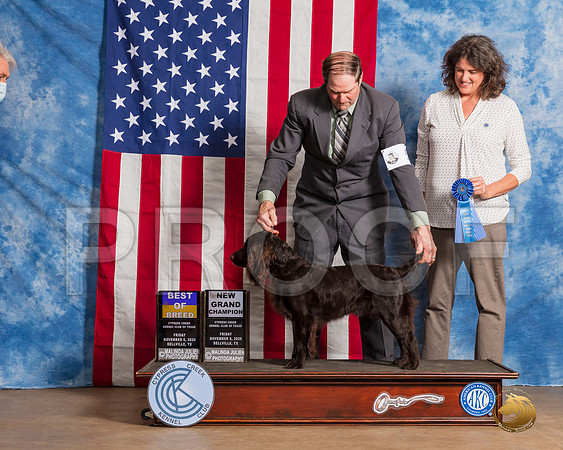 Boykin Spaniel #5 Fri BOB GrCh Judge Grace Fritz__SR_2947_Bellville2020_HR3