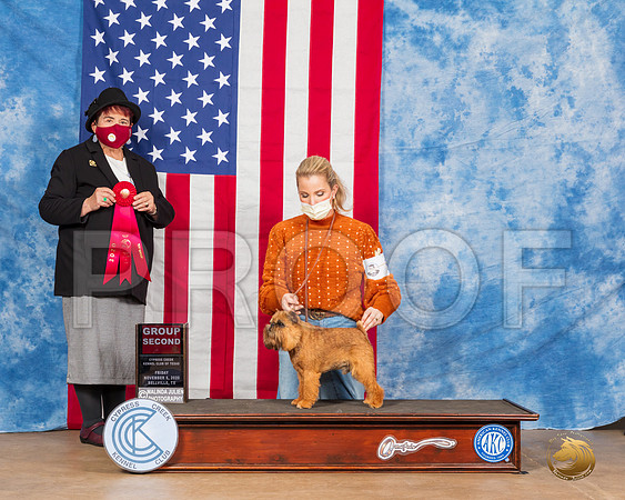 Brussels Griffon #5 Fri G1 Judge Dr Huber__SR_2868_Bellville2020_HR3