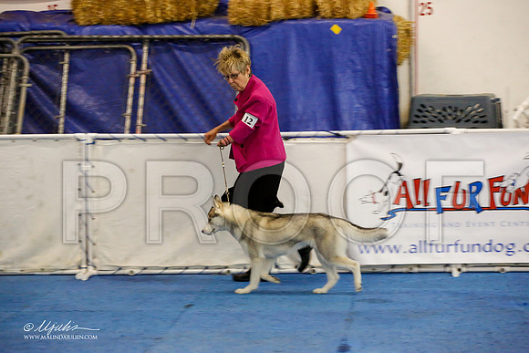 _M3_8937-AddisonHuskyMar2015-HR3