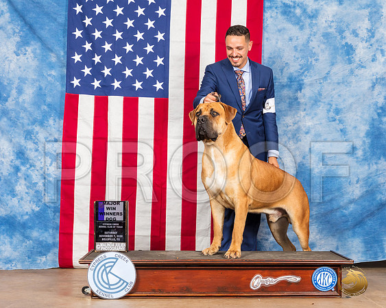 Boerbel #9 Sat WD Judge Tim Robbins__SR_3244_Bellville2020_HR3