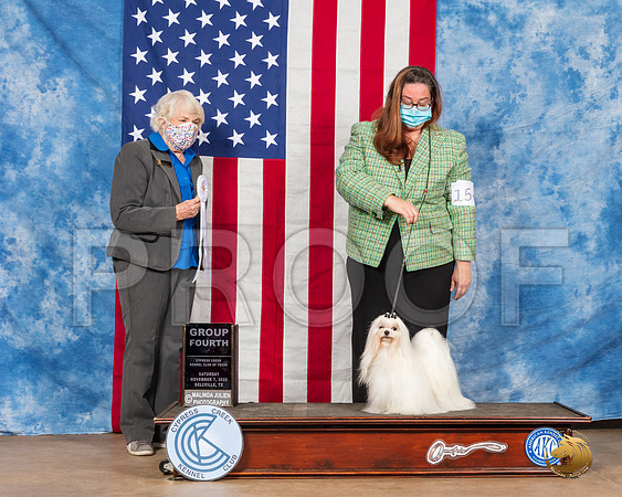 Maltese #15 Sat G4 Judge McKennon__SR_3388_Bellville2020_HR3