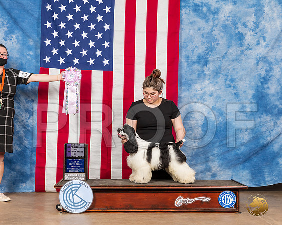 Cocker Spaniel Parti #19 Sat BOSweeps__SR_3450_Bellville2020_HR3