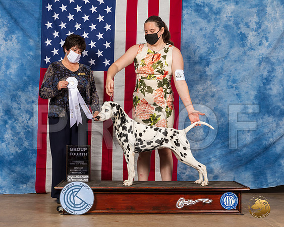 Dalmatian #22 Sat G4 Judge Marie Falconer__SR_3495_Bellville2020_HR3