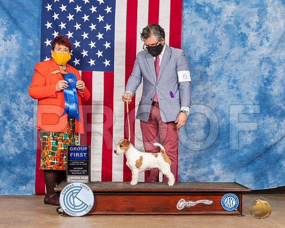 Parson Russell Terrier #6 Sat G1 Judge Dr Huber__SR_3404_Bellville2020_HR3