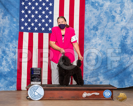 Poodle Miniature #8 Sat WB Judge Fritz__SR_3466_Bellville2020_HR3