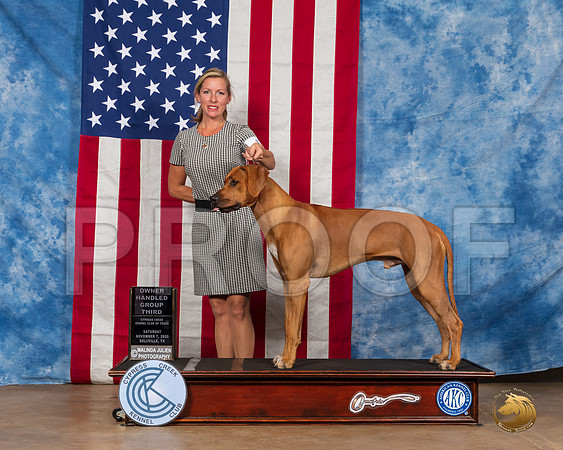 Rhodesian Ridgeback #5 Sat OHG3 Judge Tim Robbins__SR_3564_Bellville2020_HR3