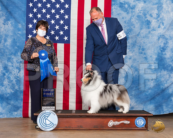 Shetland Sheepdog #21 Sat G1 Judge Marie Falconer__SR_3595_Bellville2020_HR3