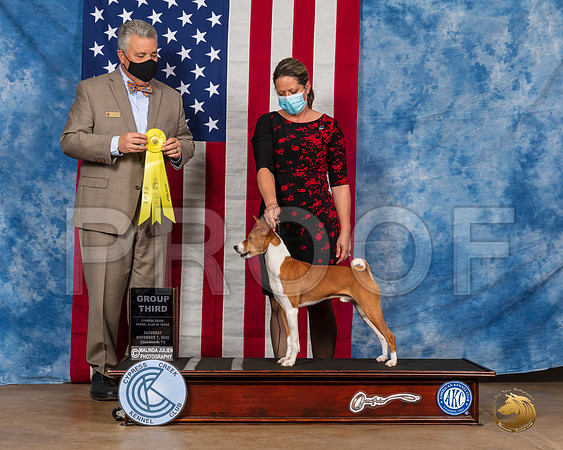 Basenji # Sat G3 Judge Neil McDevitt__SR_3560_Bellville2020_HR3