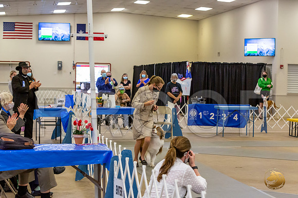 Junior Showmanship Scholarship Award Sat_JJL_8905_Bellville2020_HR3