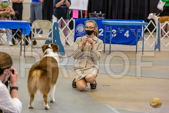 Junior Showmanship Scholarship Award Sat_JJL_8907_Bellville2020_HR3