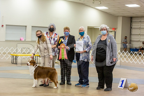 Junior Showmanship Scholarship Award Sat_JJL_8920_Bellville2020_HR3