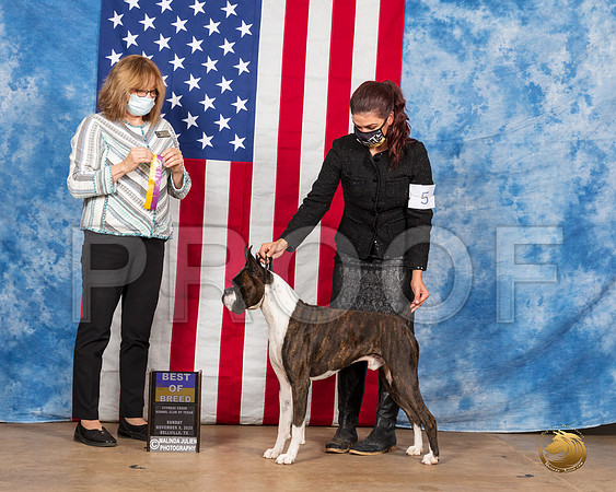 Boxer #5 Sun BOB Judge Grace Fritz__SR_3696_Bellville2020_HR3