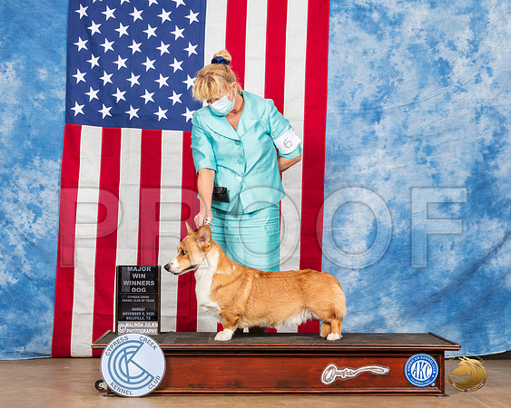 Pembroke Welsh Corgi #19 Sun WD Judge Barnhart__SR_3783_Bellville2020_HR3
