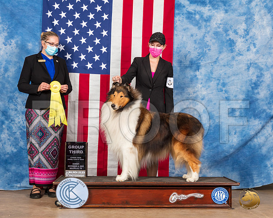 Collie Rough #7 Sun G2 Judge Emily Barnhart__SR_4186_Bellville2020_HR3