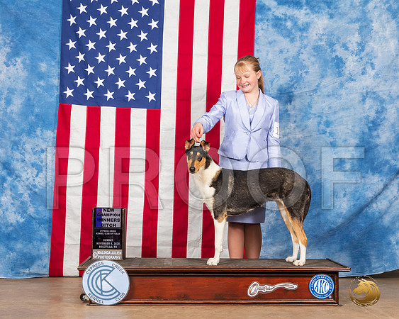 Collie Smooth #10 Sun WB NCh Judge Barnhart__SR_4205_Bellville2020_HR3