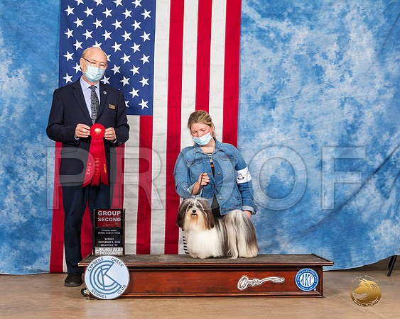 Havanese #5 Sun G2 Judge Tim Robbins__SR_4014_Bellville2020_HR3