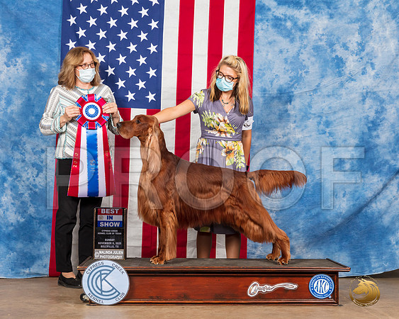 Irish Setter #5 Sun BIS Judge Grace Fritz__SR_4194_Bellville2020_HR3