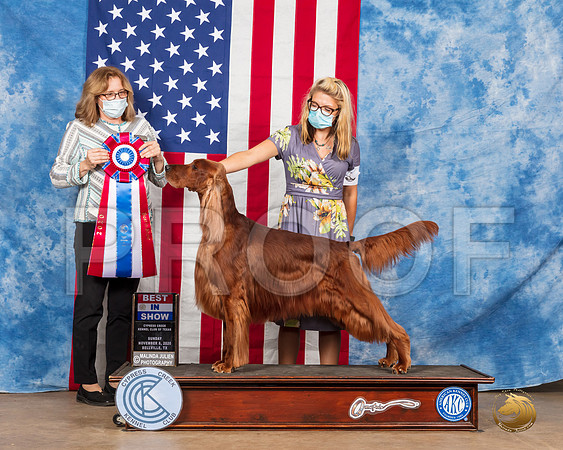 Irish Setter #5 Sun BIS Judge Grace Fritz__SR_4196_Bellville2020_HR3