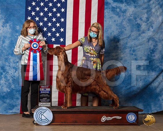 Irish Setter #5 Sun BIS Judge Grace Fritz__SR_4197_Bellville2020_HR3