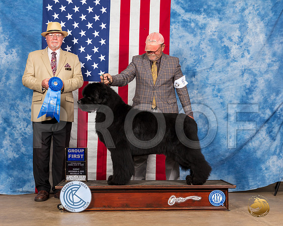 Newfoundland #5 Sun G1 Judge RC Williams__SR_3990_Bellville2020_HR3