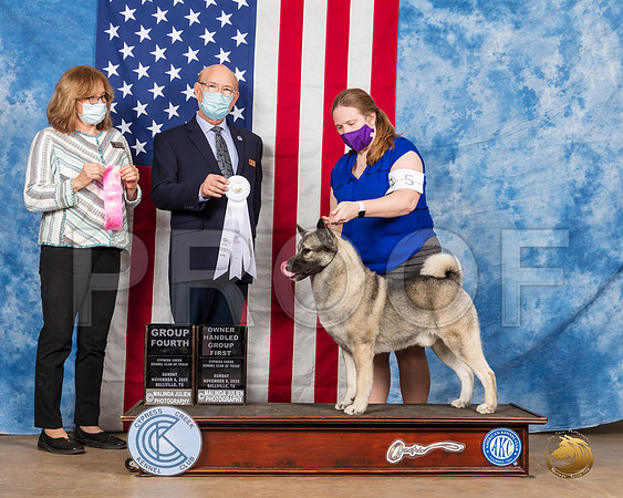 Norwegian Elkhound #5 Sun OHG1 G4 Judges Grace Fritz Tim Robbins__SR_4174_Bellville2020_HR3