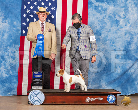 Parson Russell #6 Sun G1 Judge RC Williams__SR_4145_Bellville2020_HR3