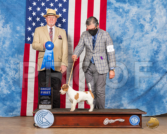 Parson Russell #6 Sun G1 Judge RC Williams__SR_4147_Bellville2020_HR3