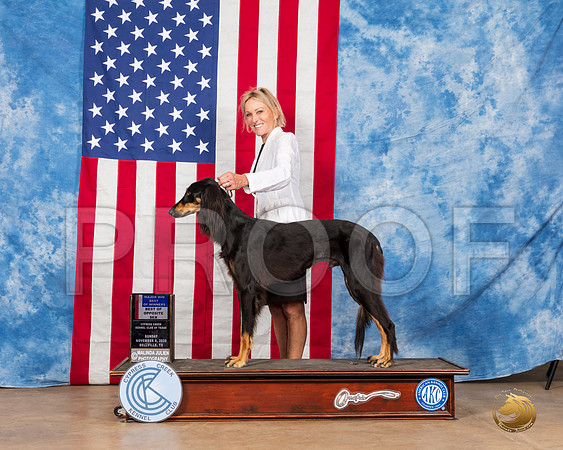 Saluki #7 Sun BOS __SR_4076_Bellville2020_HR3