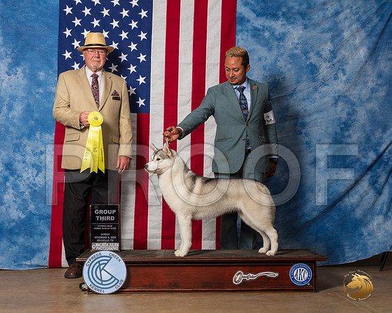 Siberian Husky #6 Sun G2 Judge RC Williams__SR_3995_Bellville2020_HR3