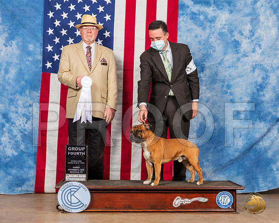 Staffordshire Bull Terrier #5 Sun G4 Judge RC Williams__SR_4156_Bellville2020_HR3