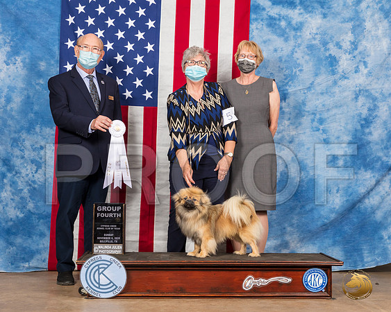 Tibetan Spaniel #5 Sun G4 Judge Tim Robbins__SR_4141_Bellville2020_HR3