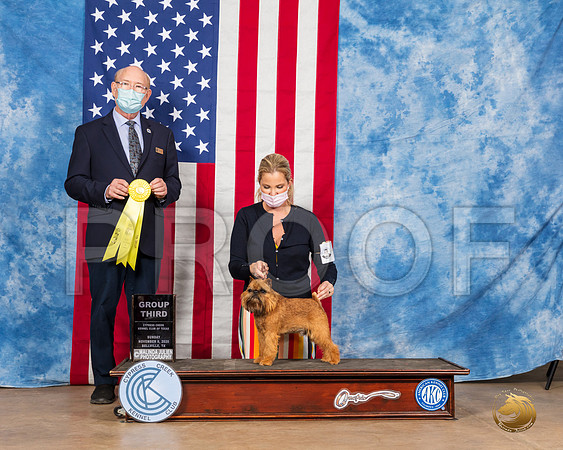 Brussels Griffon #5 Sun G3 Judge Tim Robbins__SR_4020_Bellville2020_HR3
