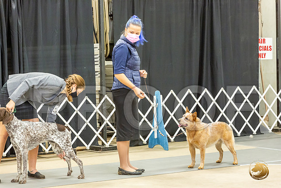 Junior Ring Sun Judge Kathleen Carter_JJL_9127_Bellville2020_HR3
