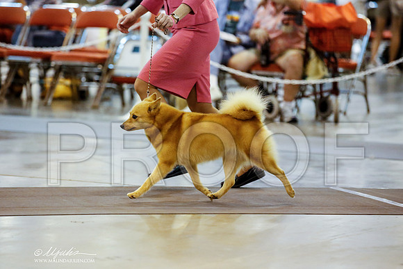 _JN_6230-HstnJul2014-HR3