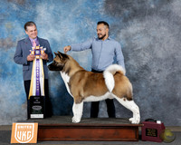 Carlos Rodriguez UDOG Longview TX Jan 31 - Feb 2 2025