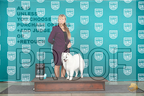 American Eskimo #1063 RGCH Judge Stephanie Mueller__JP_1537_Premier_2024_HR3